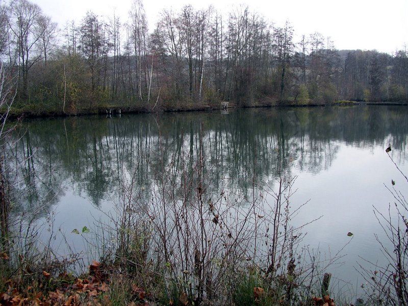 2009 01 Ornitho à Ecluzelles 06